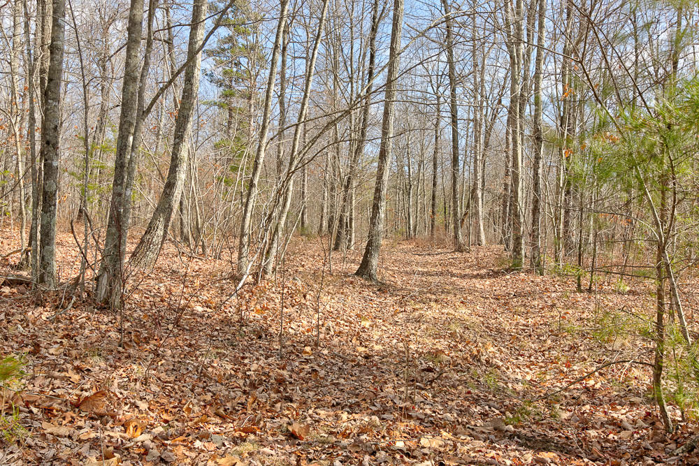 0 Hobbstown Road, Unit 3 Dunlap, TN 37327 - Photo 3 of 15 3