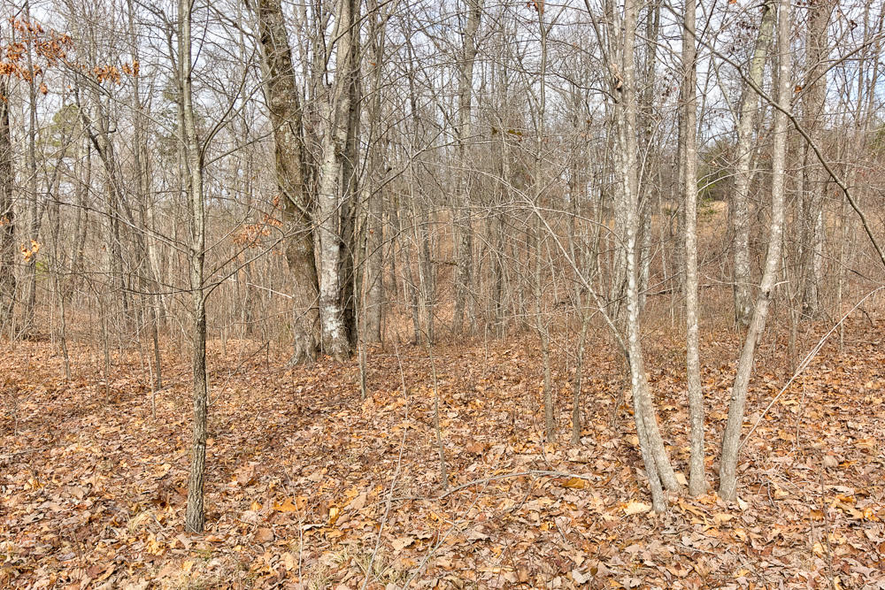 0 Hobbstown Road, Unit 3 Dunlap, TN 37327 - Photo 8 of 15 8