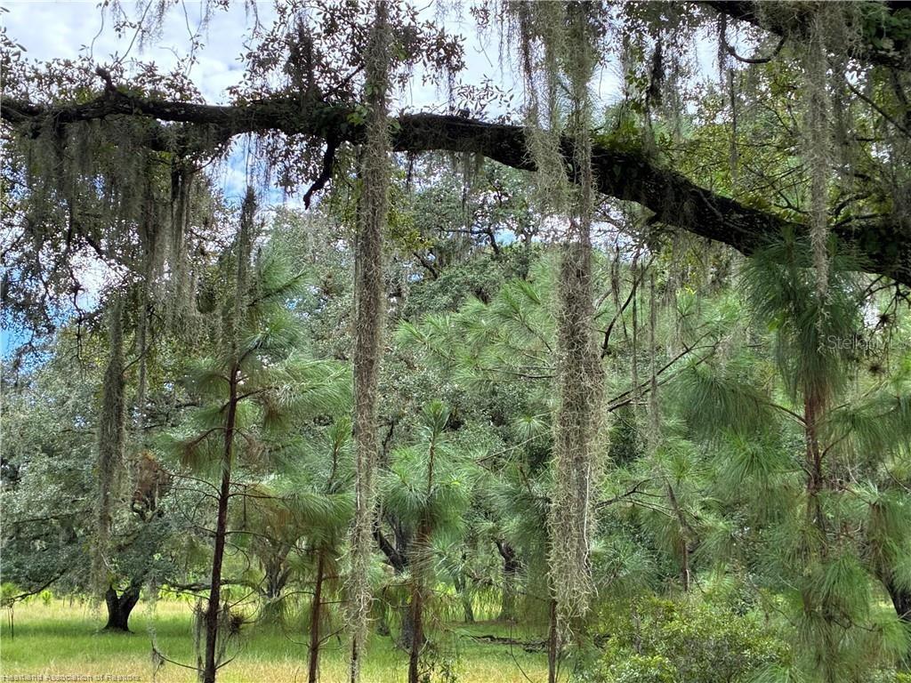 Dairy Road Venus, FL 33960 - Photo 11 of 12 a view of a lake with houses