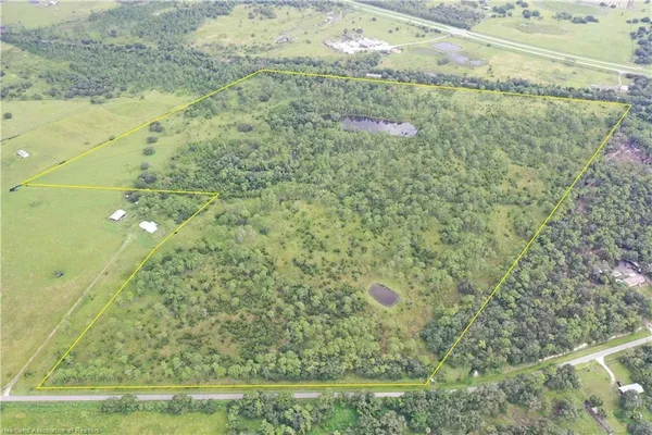 a view of a golf course with a tree