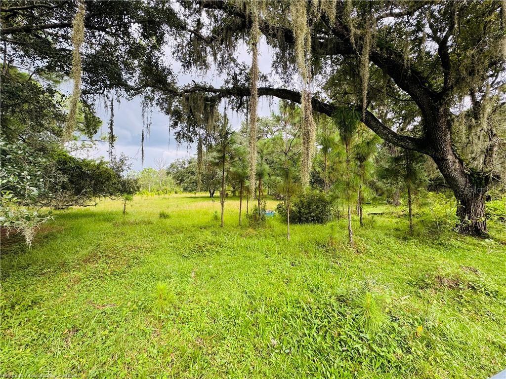 Dairy Road Venus, FL 33960 - Photo 4 of 12 a view of a golf course with a tree