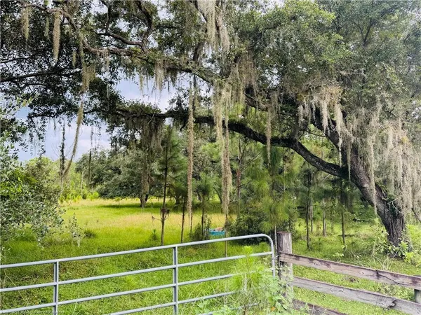 a view of a back yard