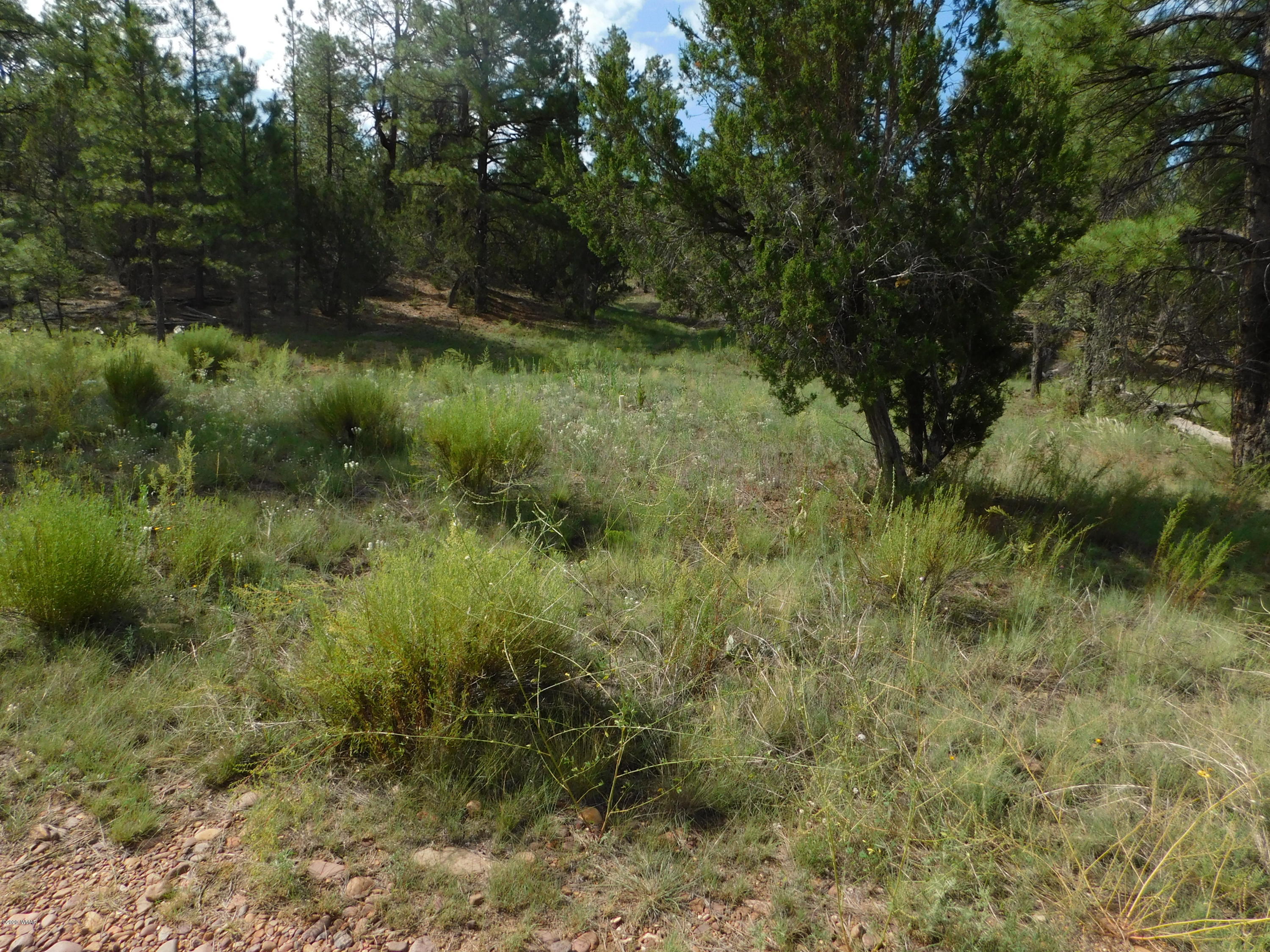 1919 Green Valley Road Heber, AZ 85928 - Photo 3 of 5