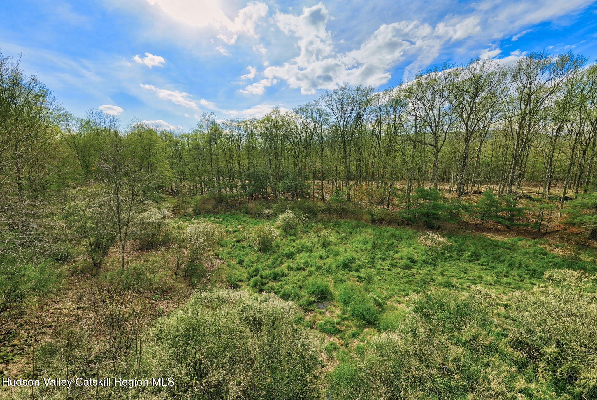 38 Spurck Road Saugerties, NY 12477 - Photo 1 of 16 5