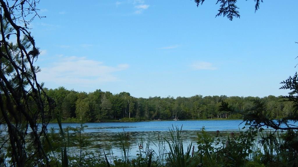 0 Notch Road Dover-Foxcroft, ME 04426 - Photo 1 of 24 Photo