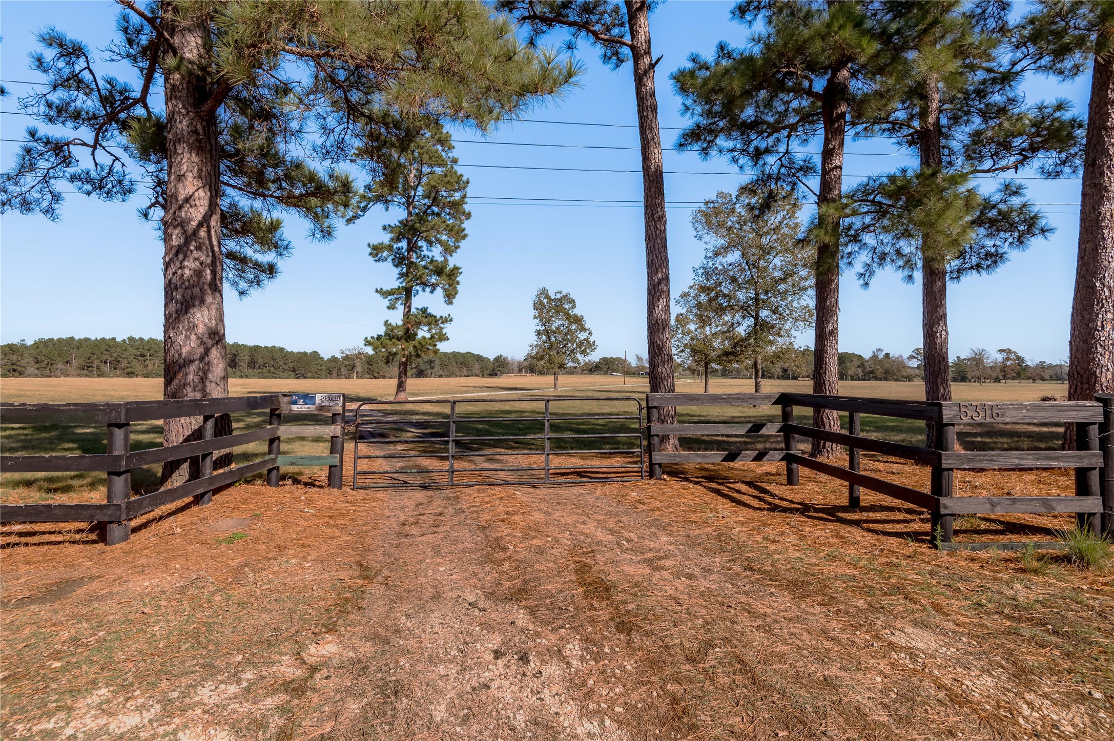 5316 Highway 19 Trinity, TX 75862 - Photo 2 of 34 a view of outdoor space with seating area