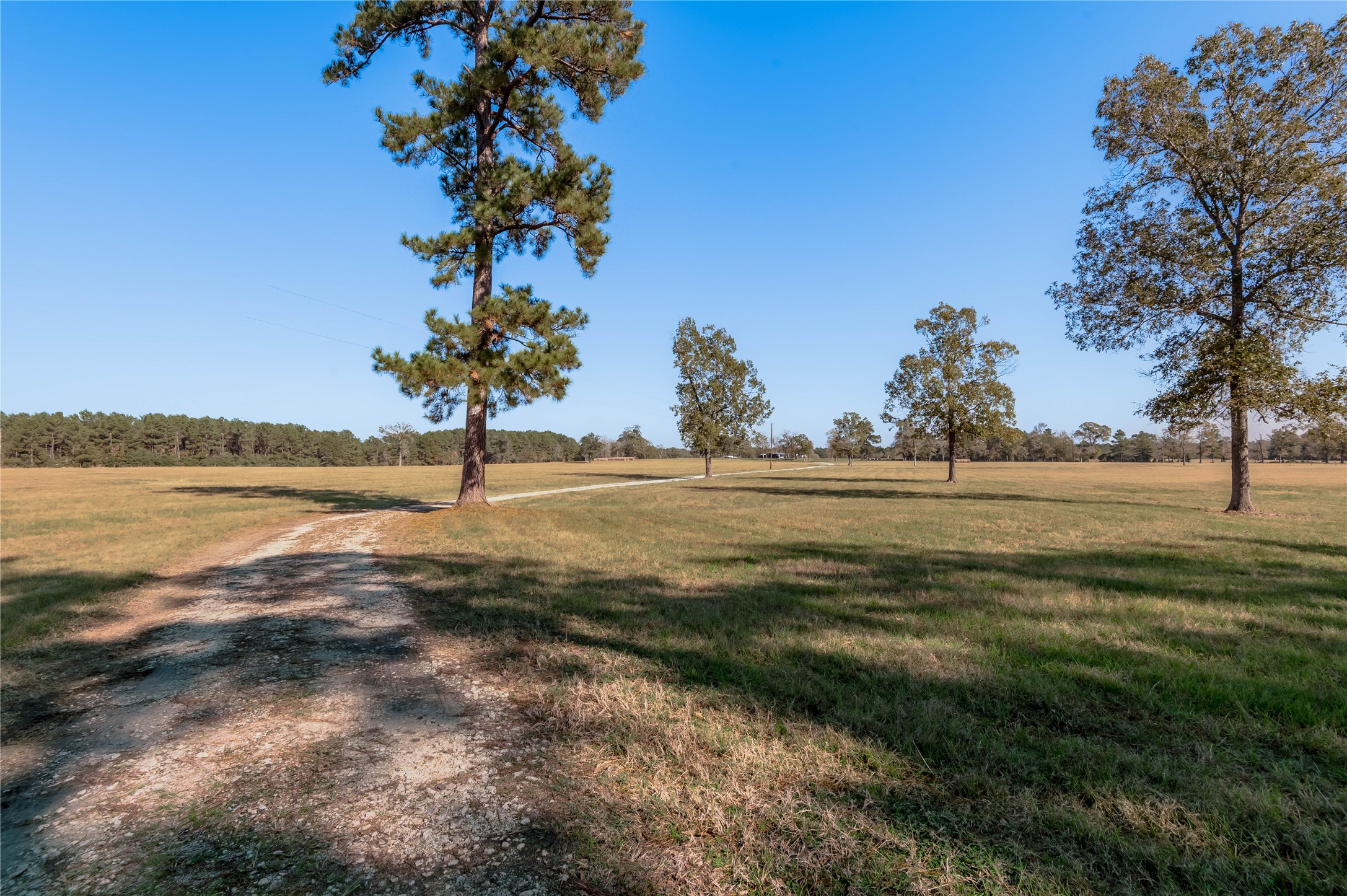 5316 Highway 19 Trinity, TX 75862 - Photo 31 of 34 a view of yard with ocean view
