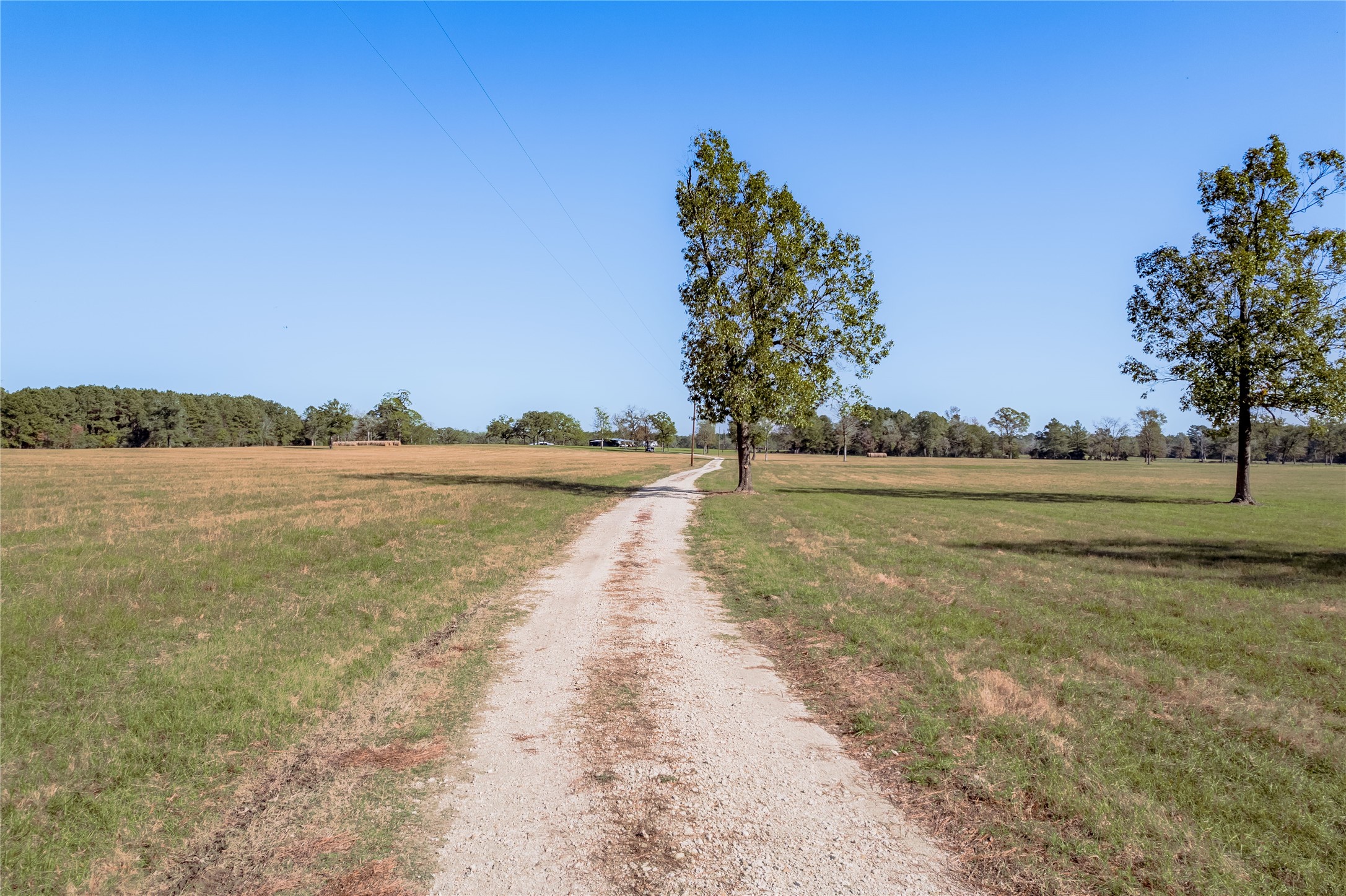 5316 Highway 19 Trinity, TX 75862 - Photo 6 of 34 a view of an ocean