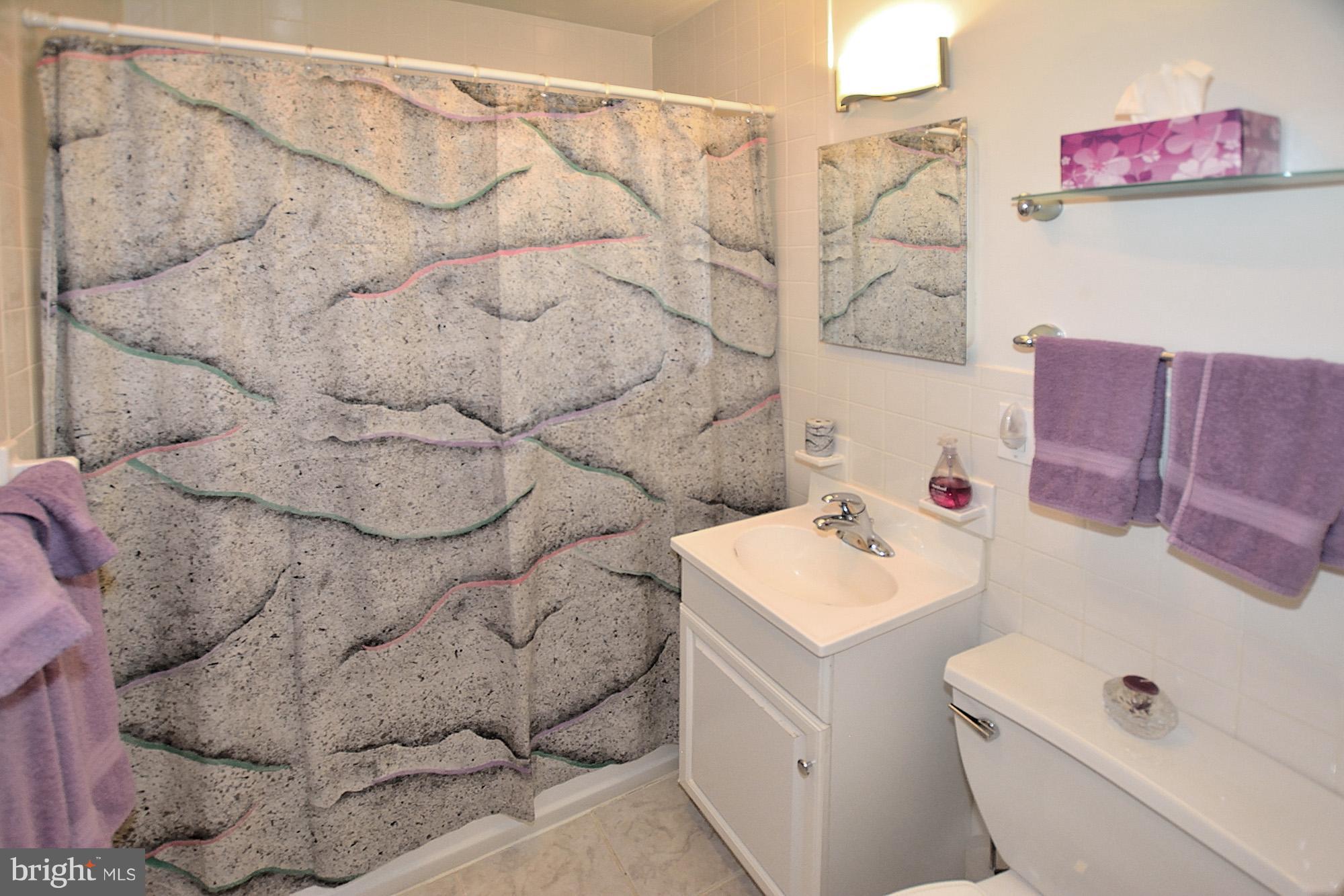 1946 Leonard Road Falls Church, VA 22043 - Photo 22 of 30 Bath
