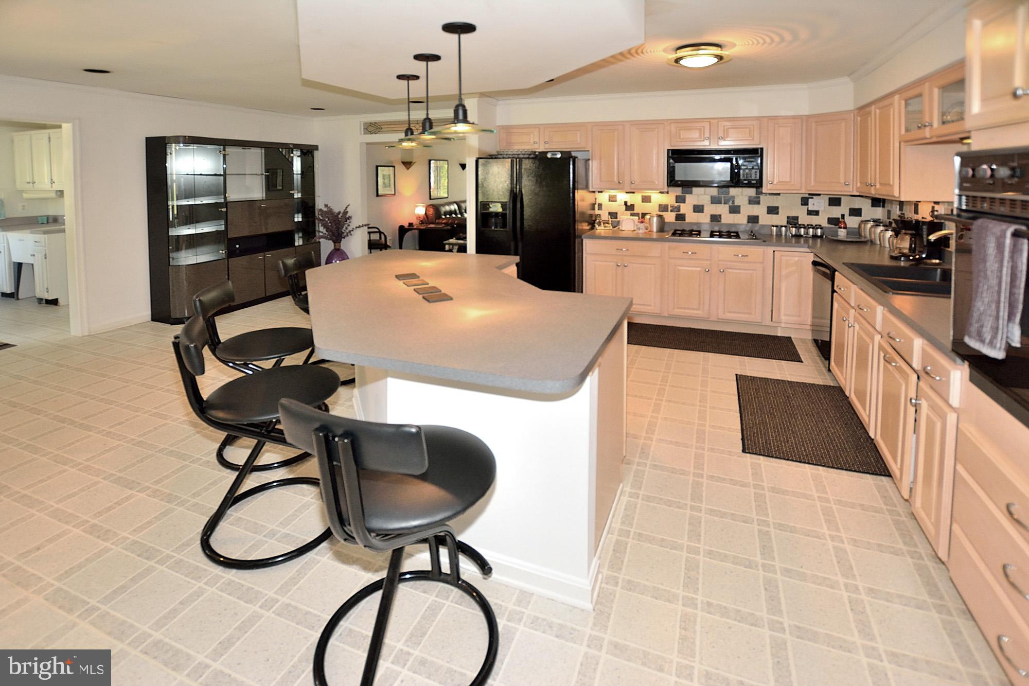 1946 Leonard Road Falls Church, VA 22043 - Photo 5 of 30 Kitchen