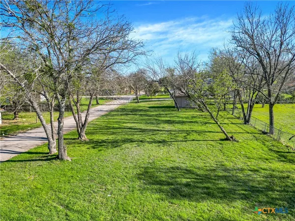 a view of a park with large trees