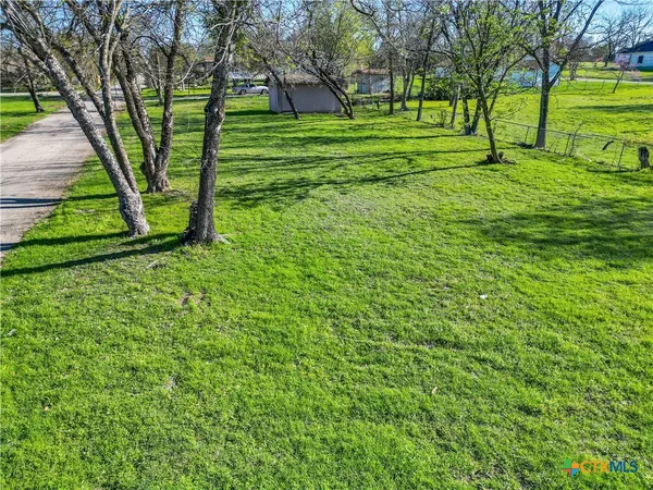 a view of a backyard with large trees
