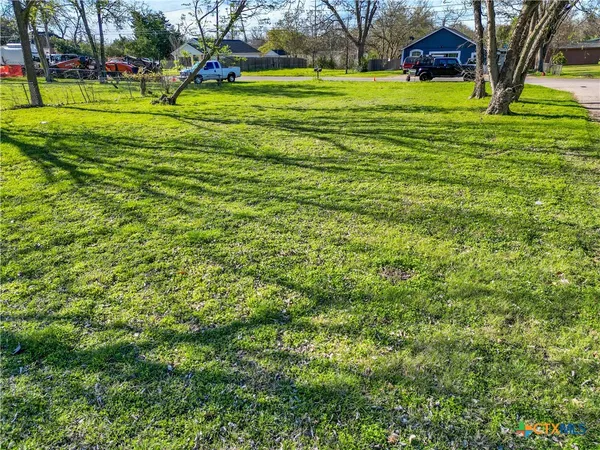 a view of a trees in a yard