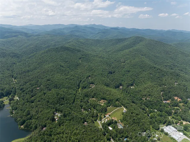 a view of a lush green forest with lush green forest