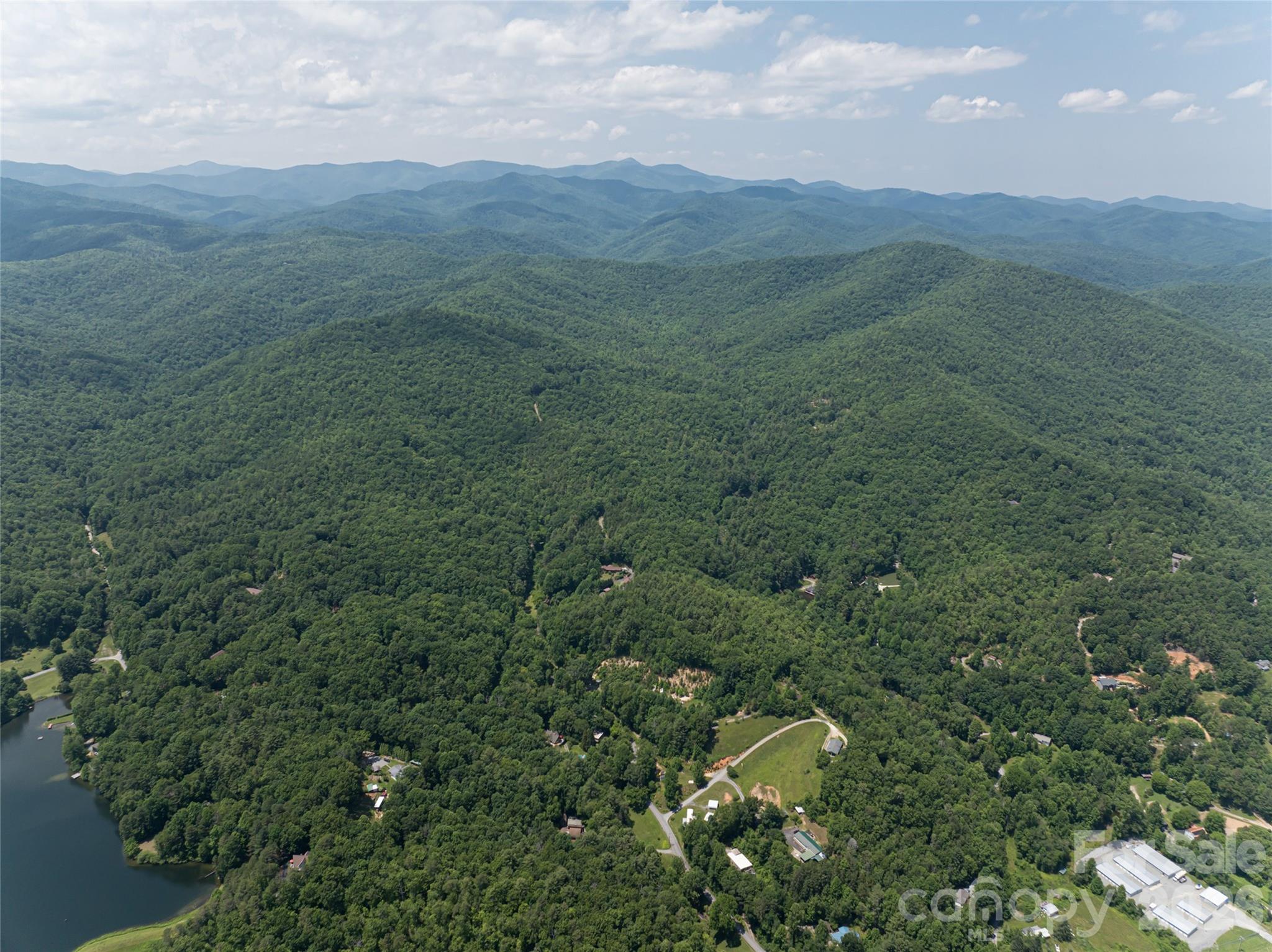 a view of a lush green forest with lush green forest