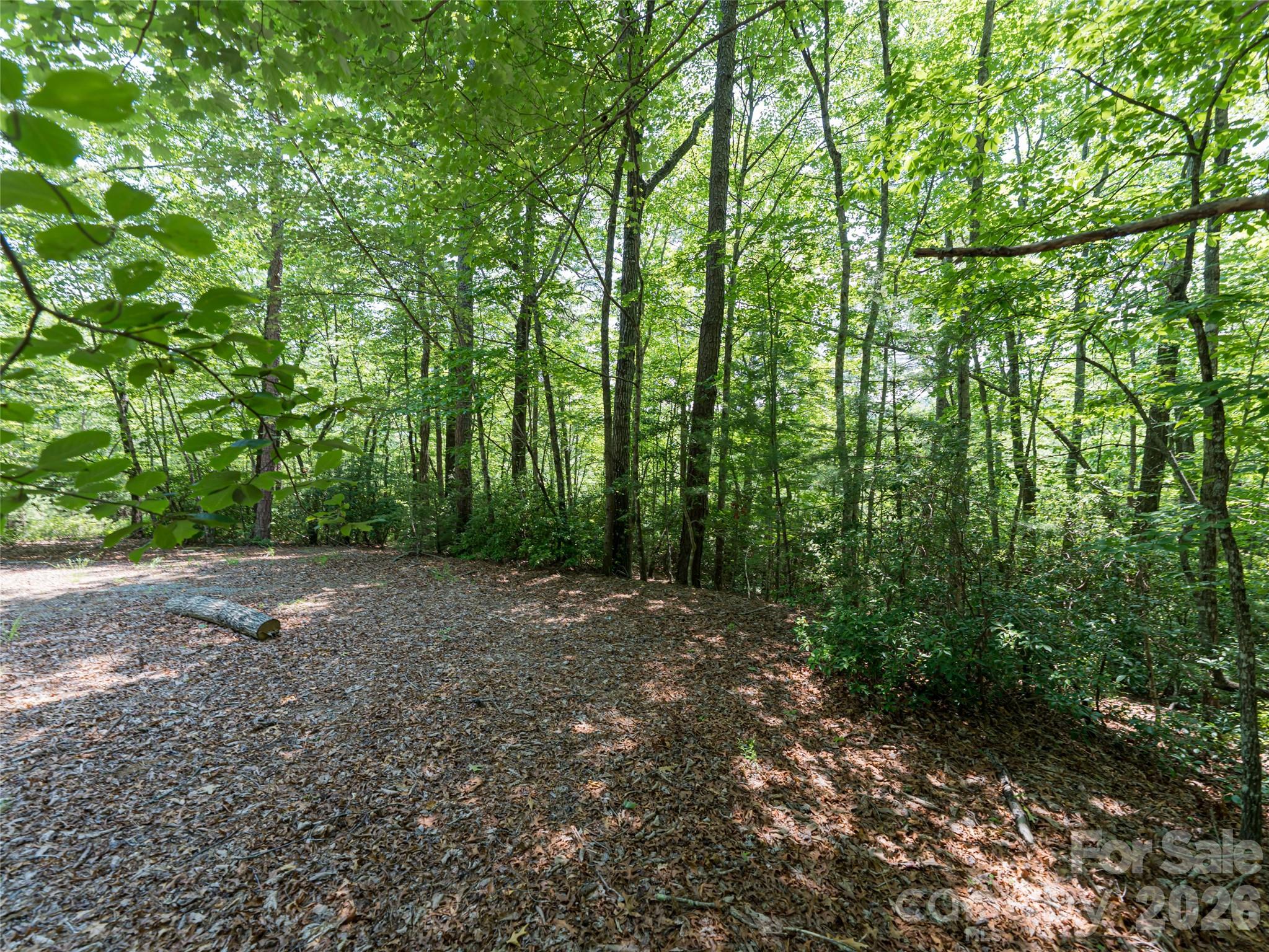 1000 Sutton Creek Road Pisgah Forest, NC 28768 - Photo 18 of 30 a view of a forest with trees