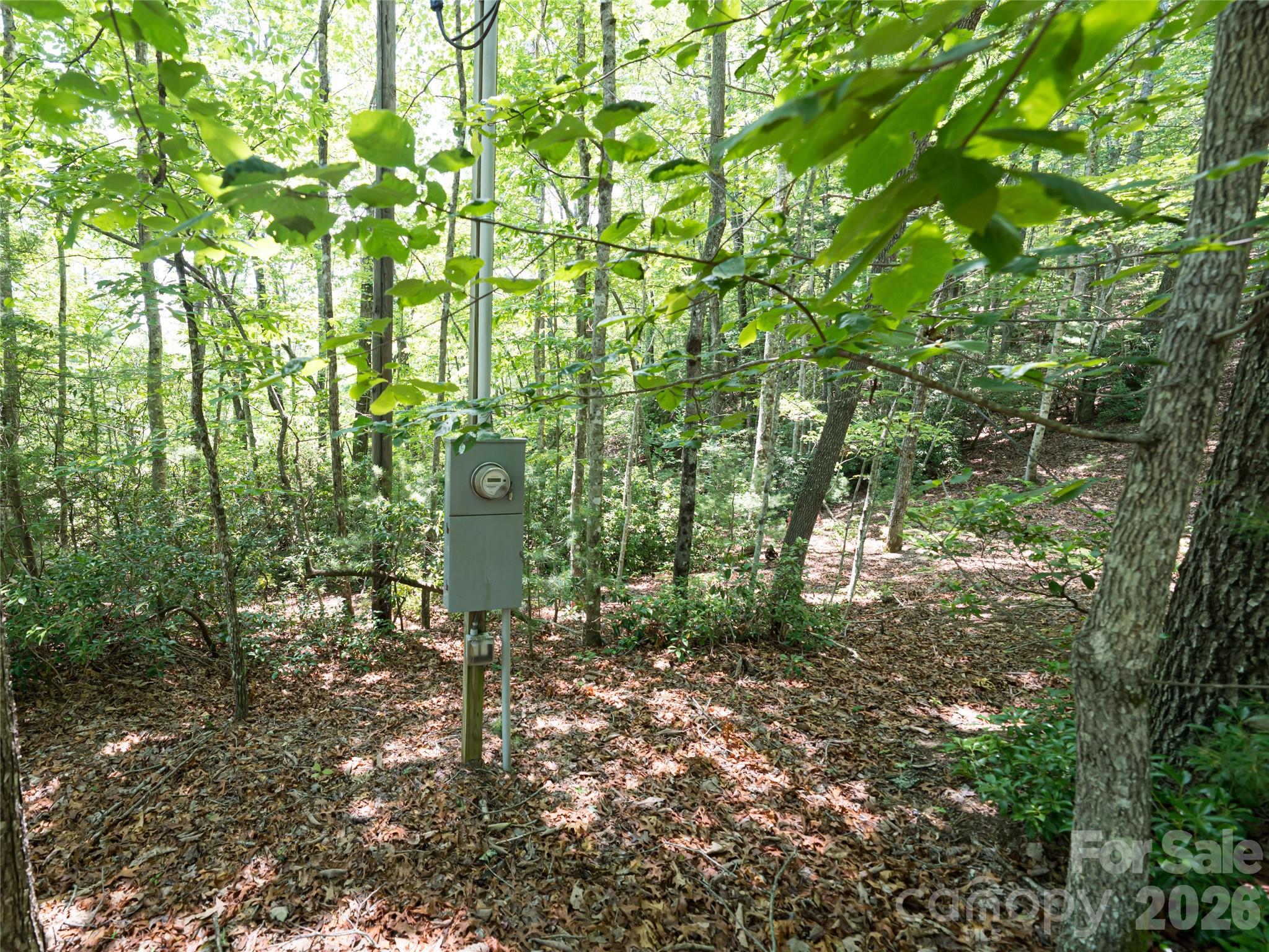 1000 Sutton Creek Road Pisgah Forest, NC 28768 - Photo 19 of 30