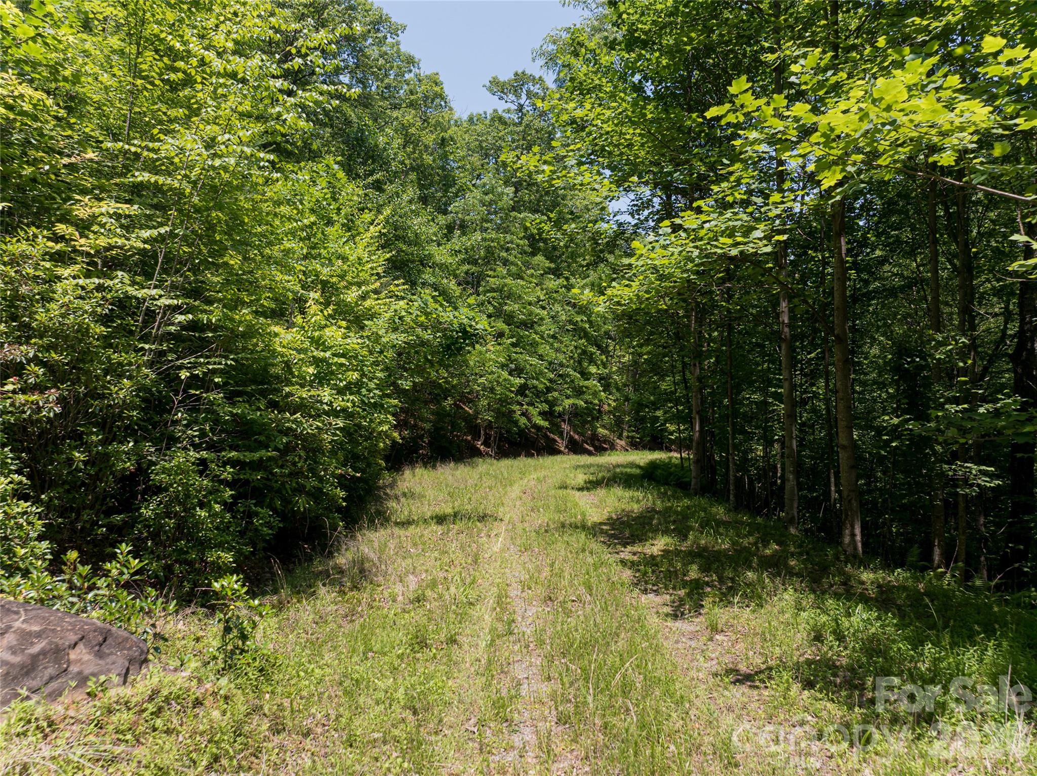 1000 Sutton Creek Road Pisgah Forest, NC 28768 - Photo 27 of 30 a view of backyard with green space