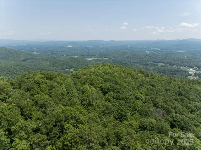 an aerial view of houses covered in trees