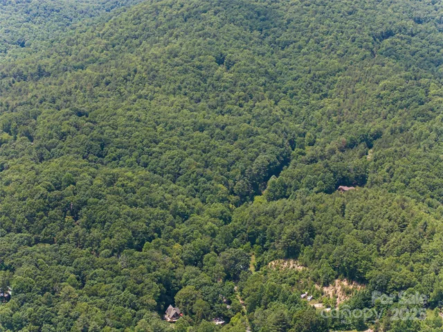 a view of a lush green field