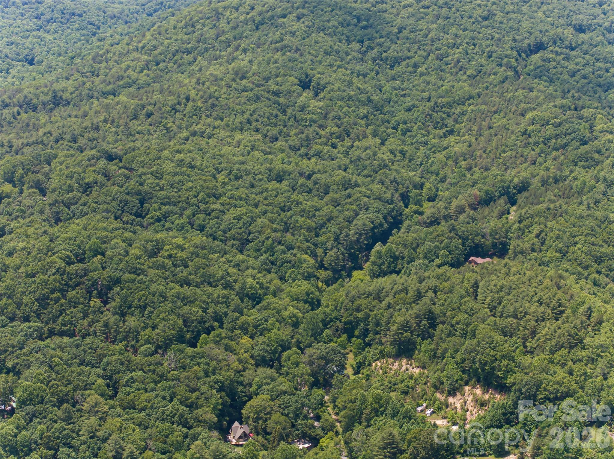 1000 Sutton Creek Road Pisgah Forest, NC 28768 - Photo 29 of 30 a view of a forest with a street
