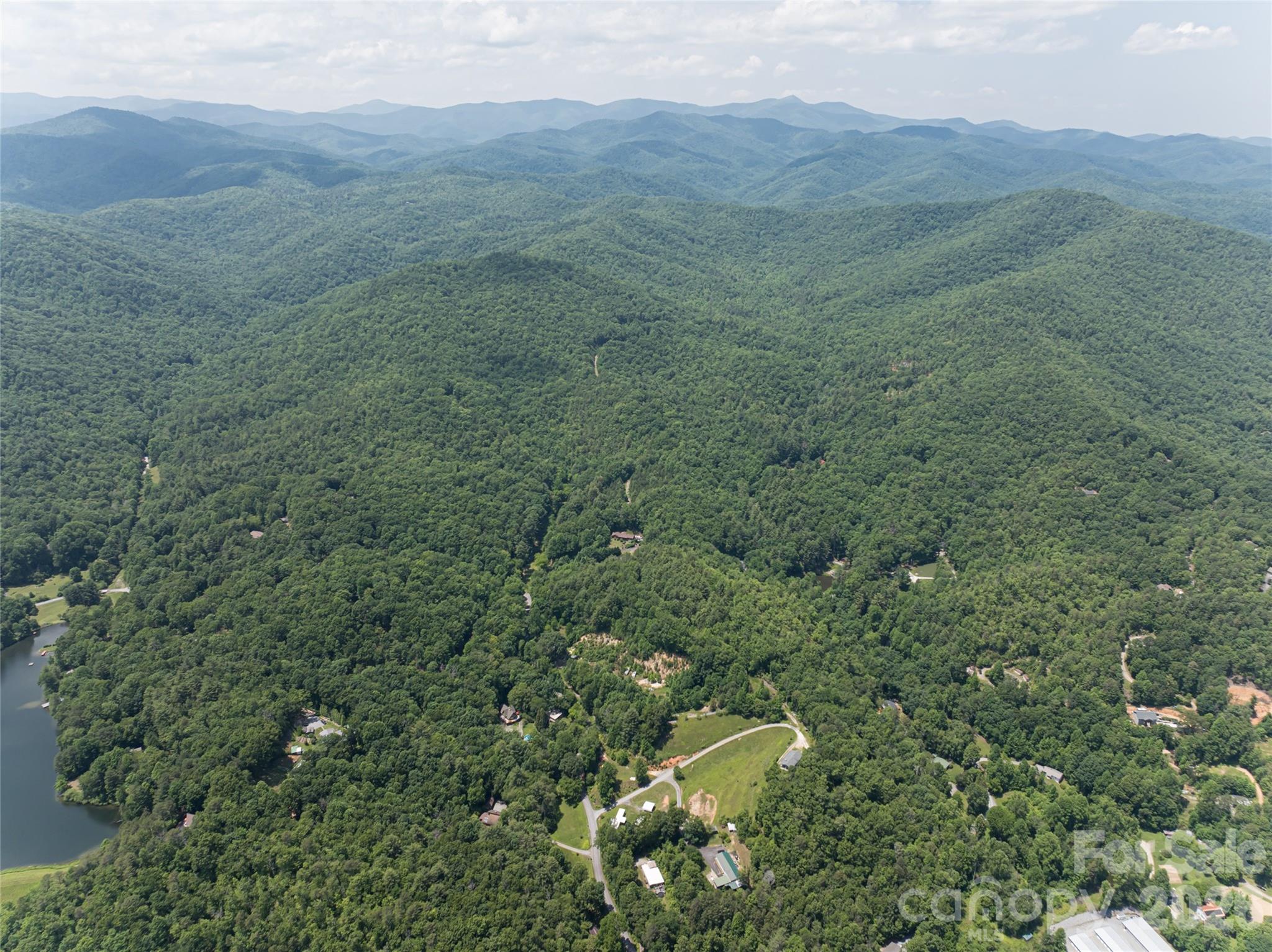 1000 Sutton Creek Road Pisgah Forest, NC 28768 - Photo 30 of 30 a view of a forest with a mountain