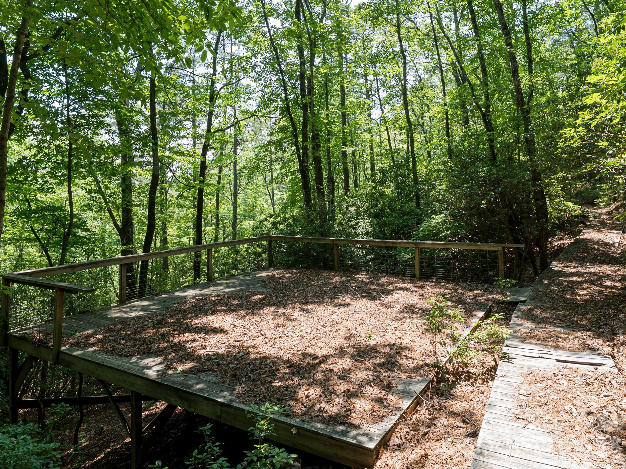 1000 Sutton Creek Road Pisgah Forest, NC 28768 - Photo 6 of 30 a backyard of a house with lots of green space