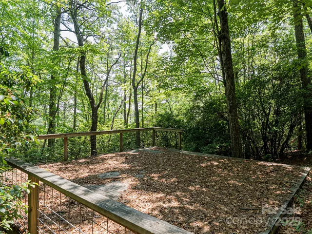 a view of a backyard with large trees