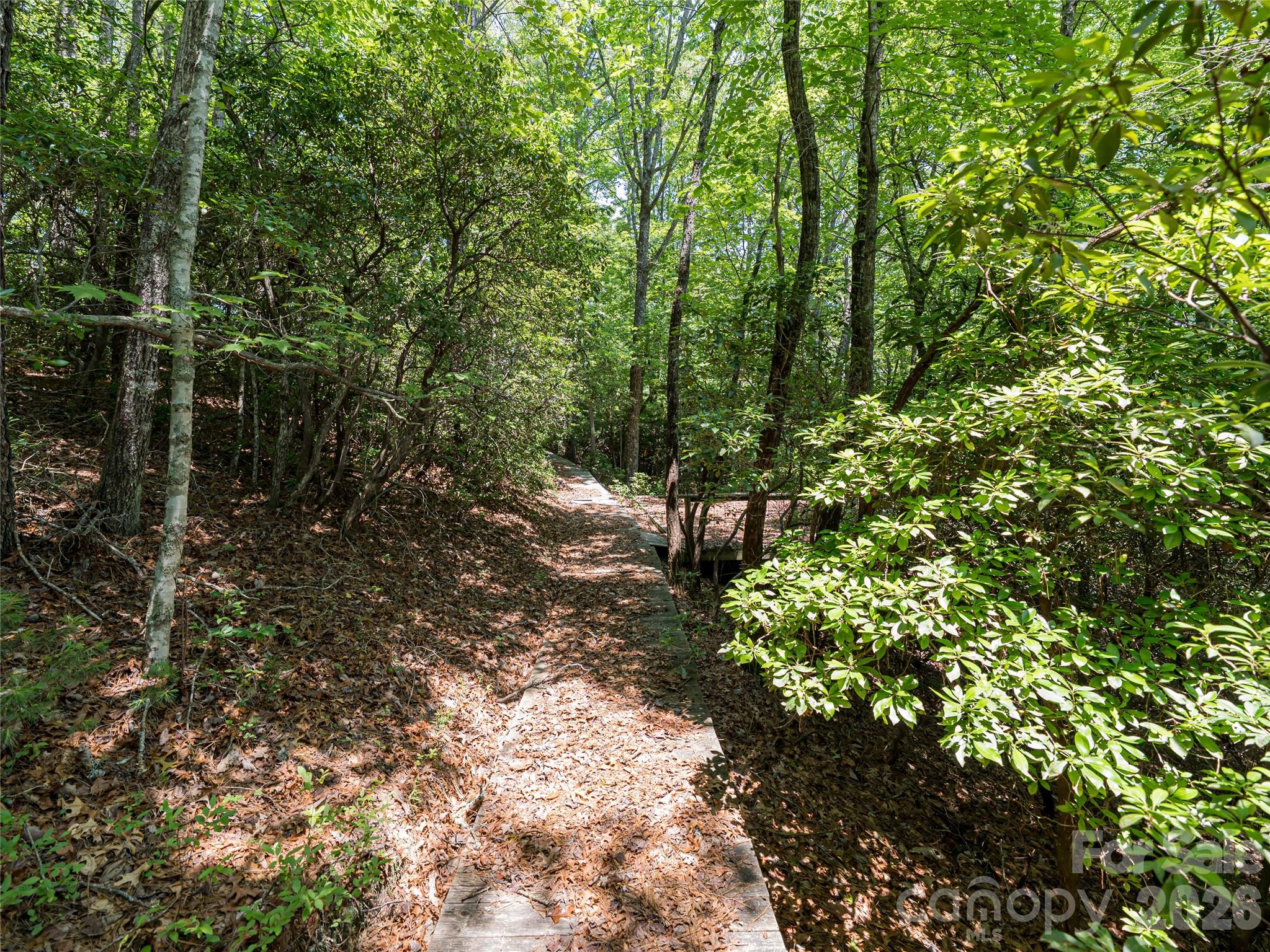 1000 Sutton Creek Road Pisgah Forest, NC 28768 - Photo 10 of 30 a backyard of a house with lots of green space