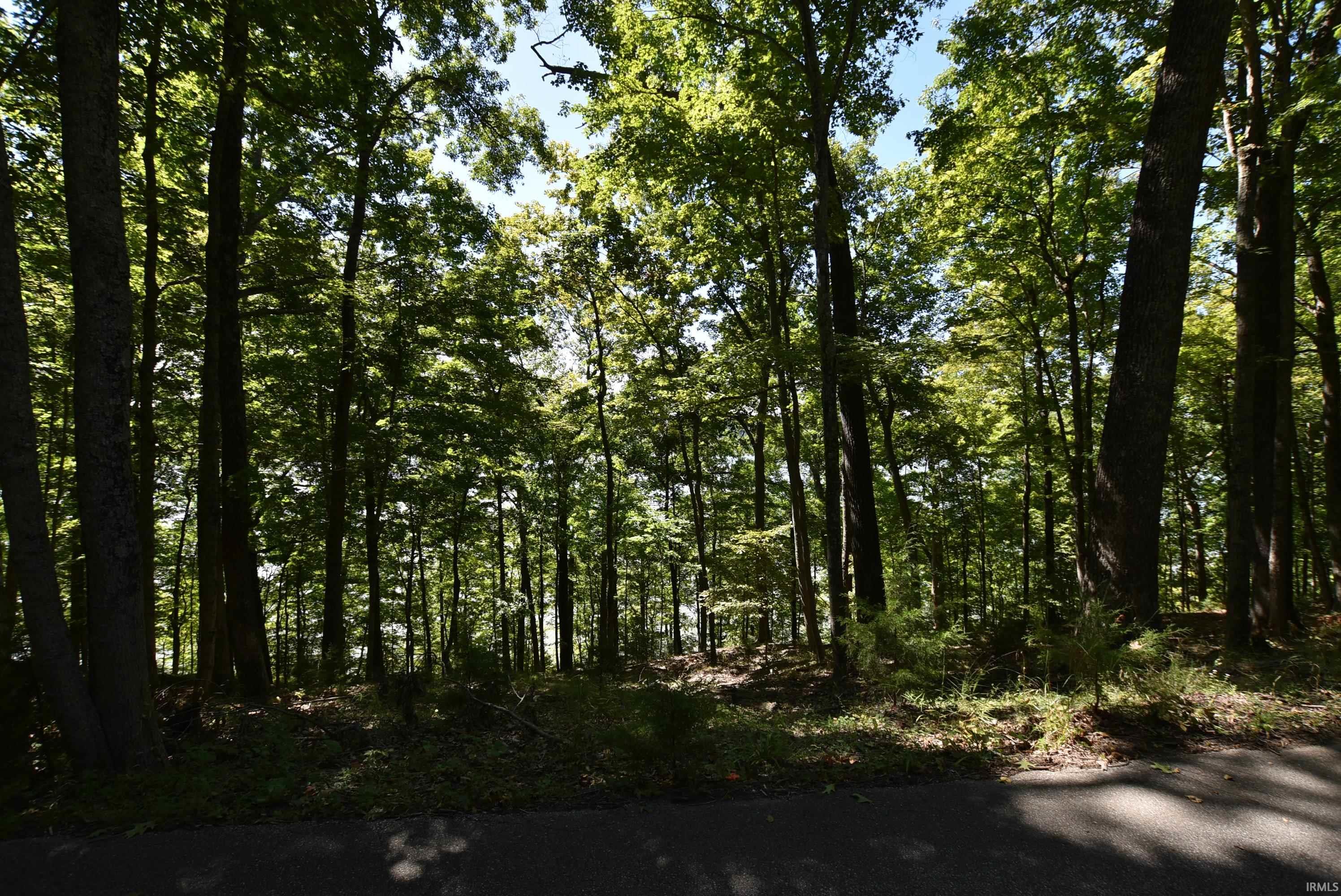 7453 East Rush Ridge Road Bloomington, IN 47401 - Photo 3 of 6