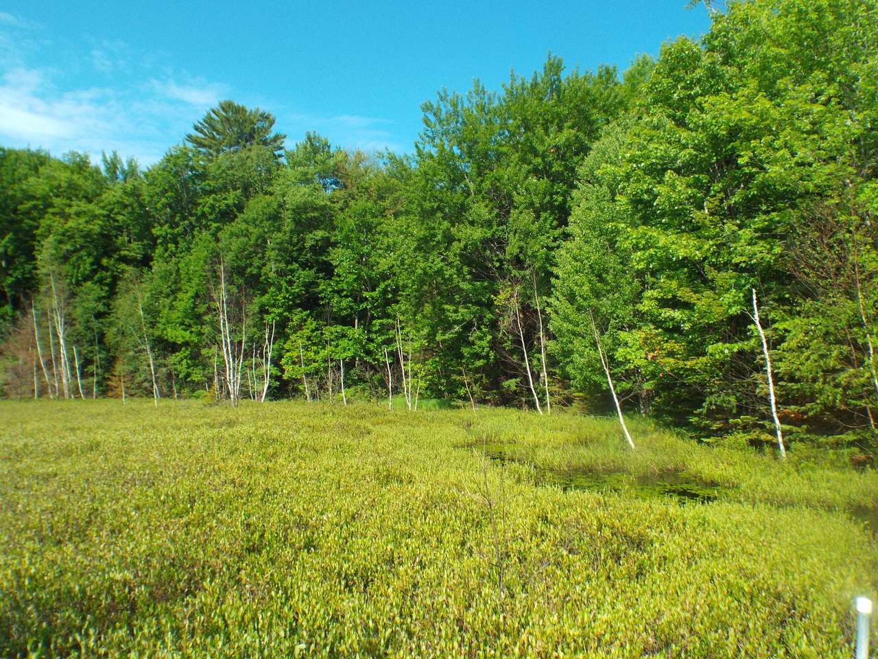 3060 Ed's Lake Road Crandon, WI 54520 - Photo 17 of 38 Gallery Image 17