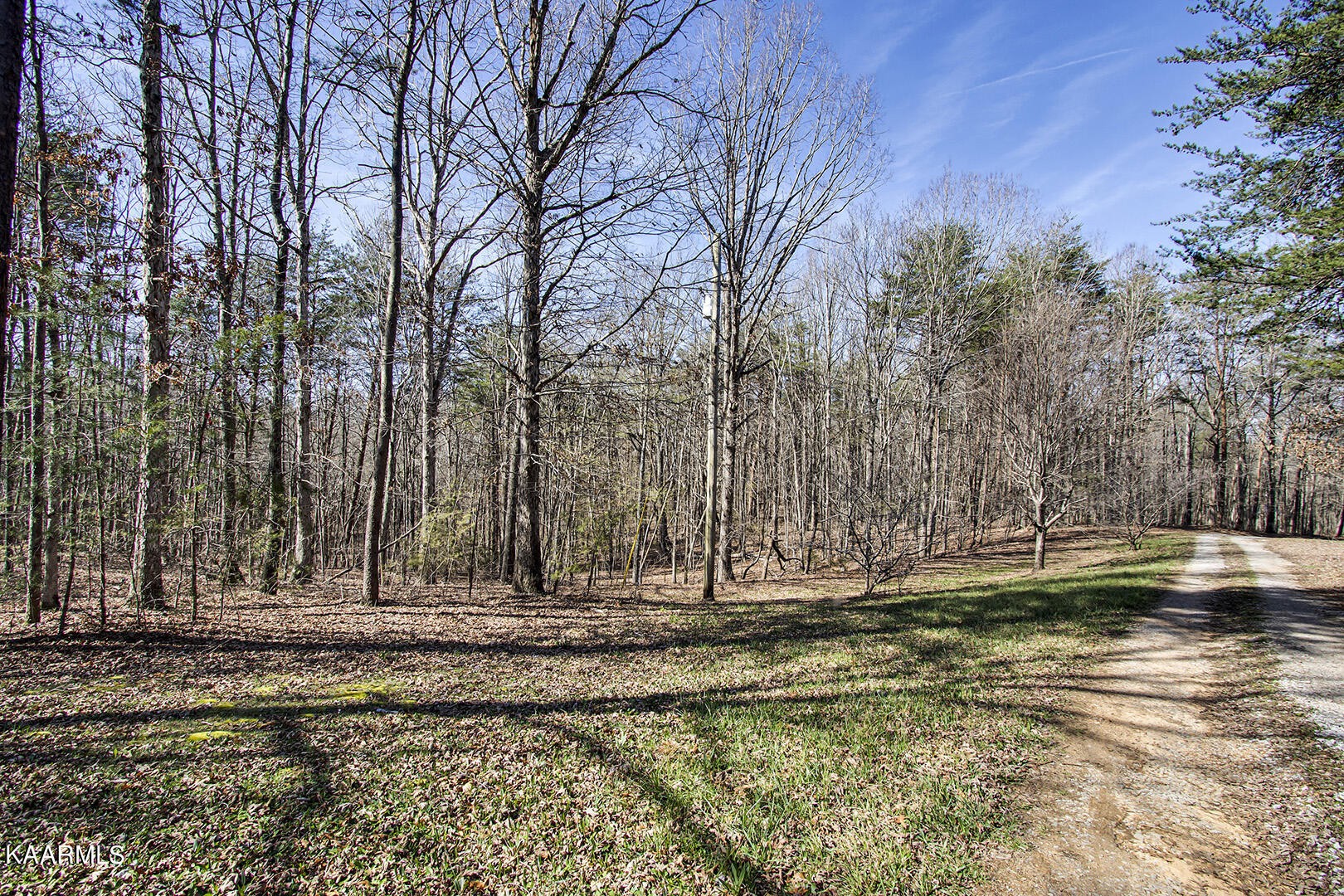 0 Wilcox Lane Delano, TN 37325 - Photo 2 of 14