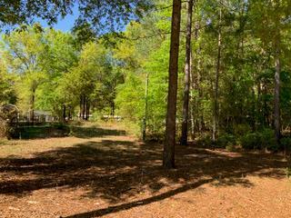 Tbd Patsy Street Summerton, SC 29148 - Photo 1 of 7 patsymain