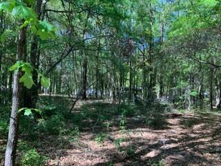 Tbd Patsy Street Summerton, SC 29148 - Photo 2 of 7 patsy1