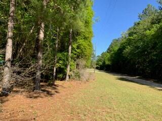 Tbd Patsy Street Summerton, SC 29148 - Photo 6 of 7 patsy5