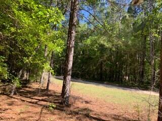 Tbd Patsy Street Summerton, SC 29148 - Photo 7 of 7 patsy6