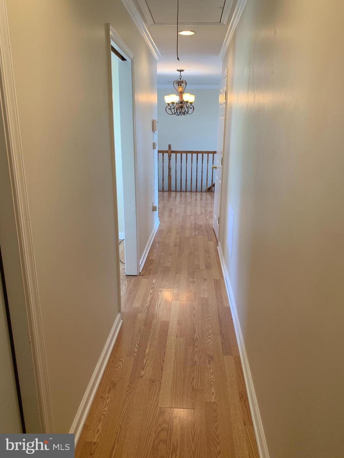 4782 Huntingfield Road Rock Hall, MD 21661 - Photo 21 of 31 Gallery Image 21