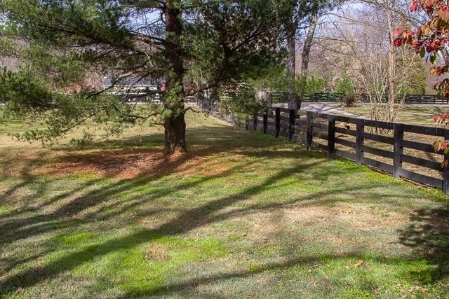 a big yard with lots of green space and trees