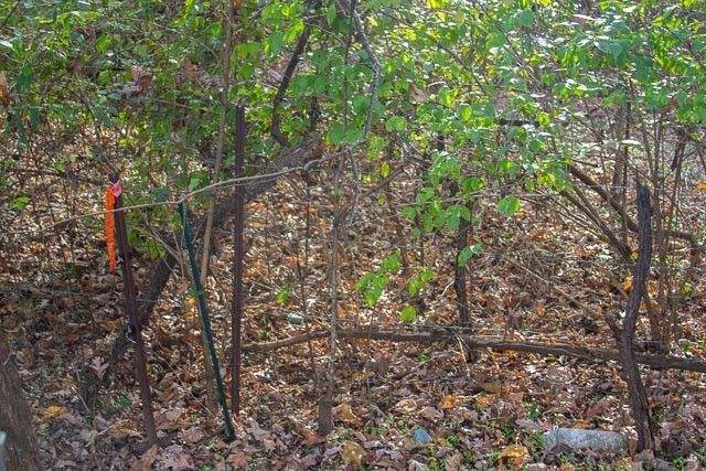 a view of outdoor space with deck and yard