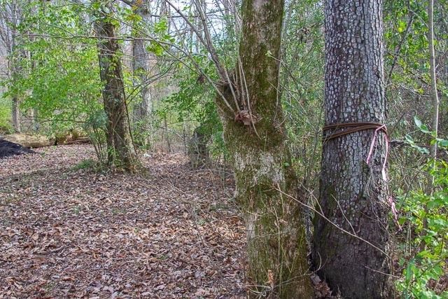 a view of outdoor space with trees