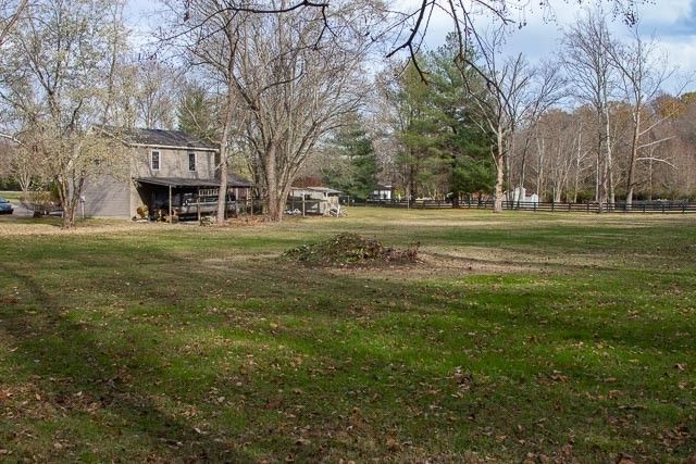 a view of a garden with trees