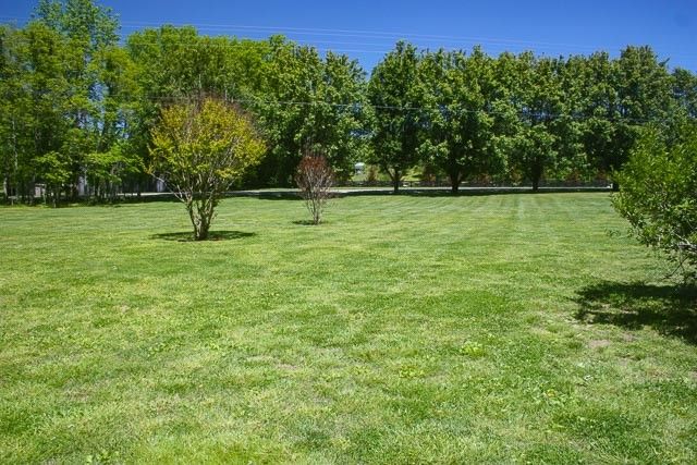 a swimming pool with trees in front of it