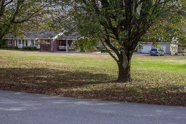 a living room with furniture a couch and wooden floor