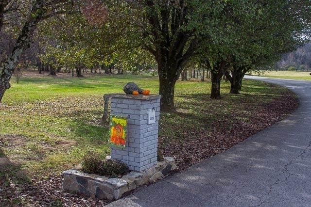 a kitchen with stainless steel appliances granite countertop a stove a sink dishwasher a refrigerator and cabinets with wooden floor