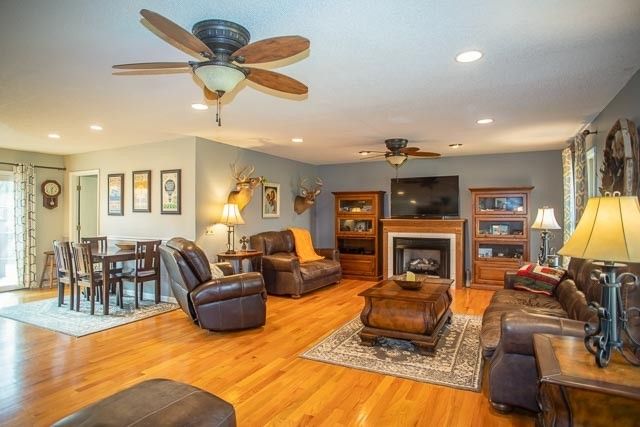 a view of a trees in a park