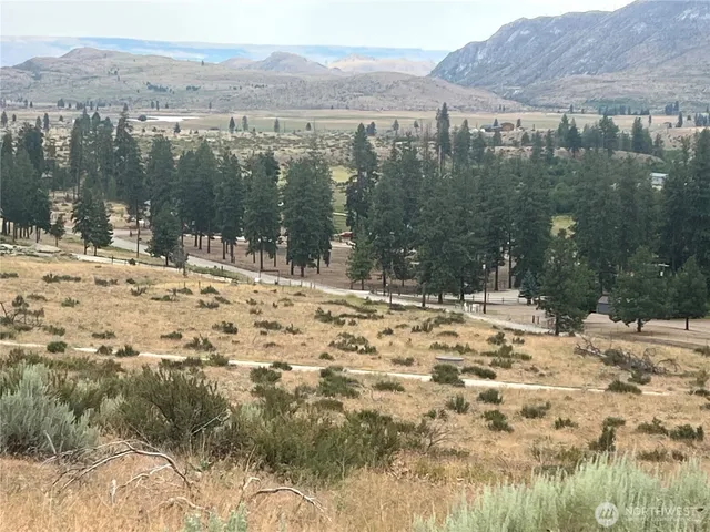a view of lot of a house with a snow yard