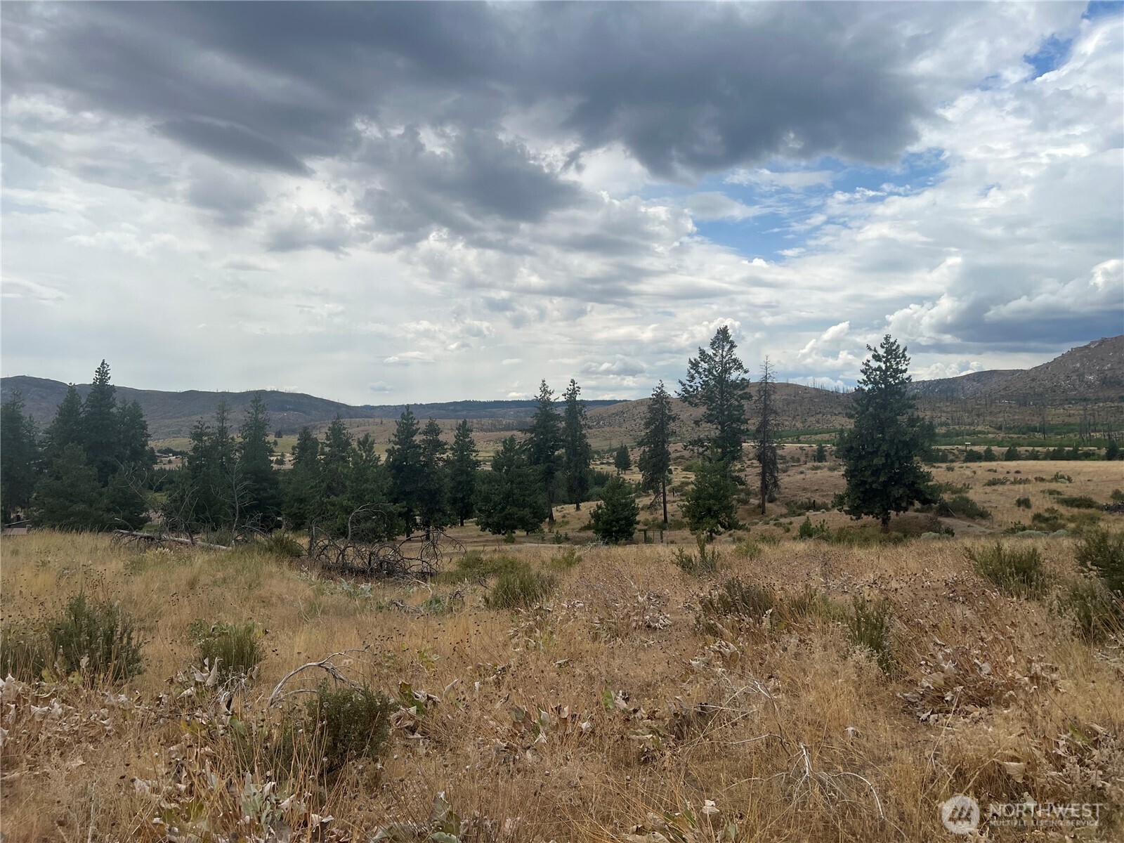 10 Landers Road Malott, WA 98829 - Photo 13 of 39 a view of a dry yard with trees