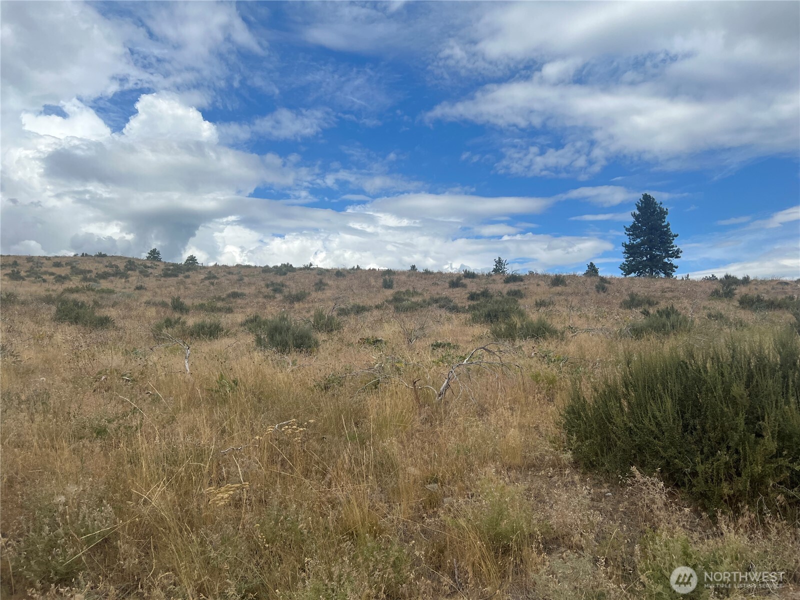 10 Landers Road Malott, WA 98829 - Photo 16 of 39 a view of a dry yard with trees