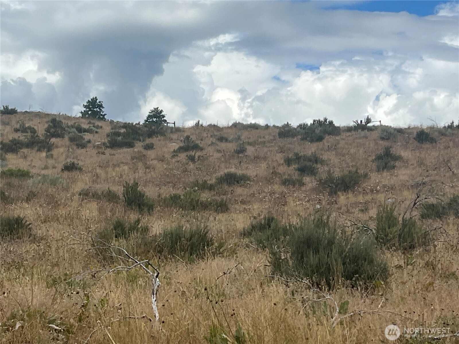 10 Landers Road Malott, WA 98829 - Photo 17 of 39 a view of a sky