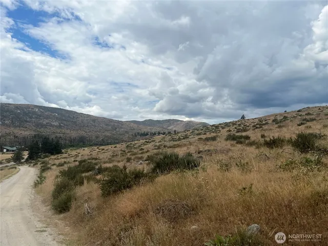a view of a field of trees